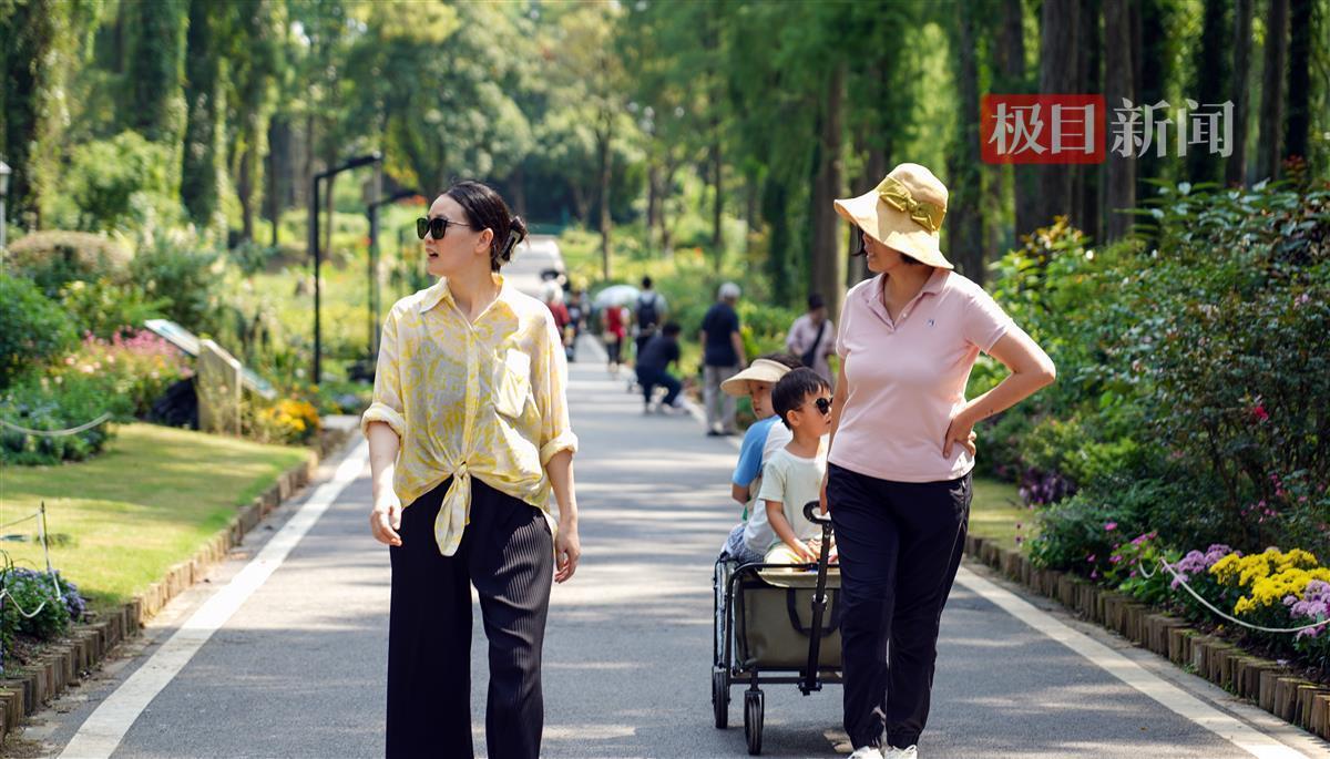 菠菜论坛地址大全